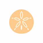 Sand Dollar icon